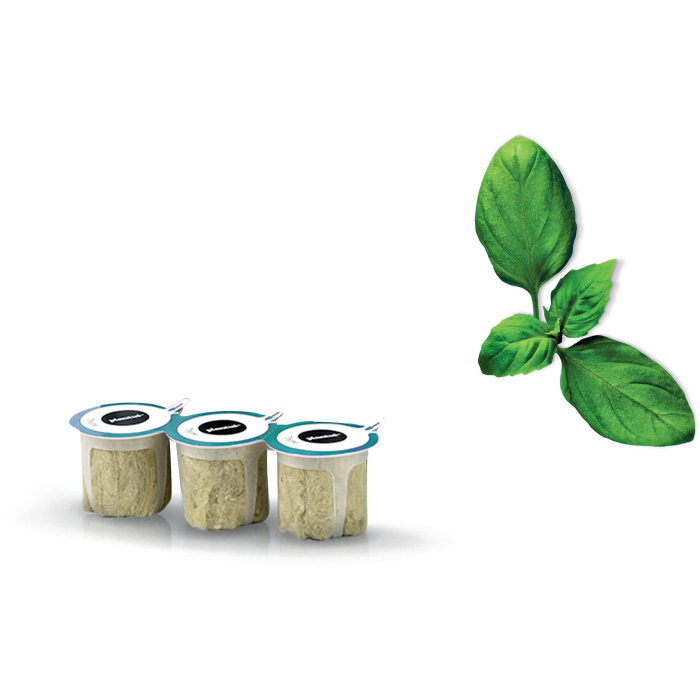Capsules voor SmartGrow - basilicum 17008486 - MSGZH001N