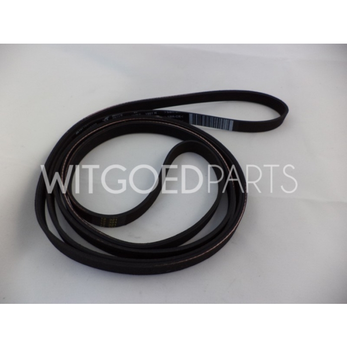 Whirlpool/Bauknecht Poly V Snaar 1951 H7 voor wasdroger witgoedpartsnr: 481235818156