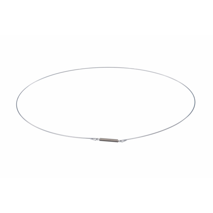 Bosch / Siemens Spanring 00439671
