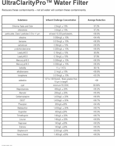 Water Filter 11032531 - BORPLFTR55