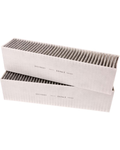 Koolstoffilter 11058748