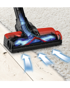 ProAnimal borstel voor oplaadbare stofzuiger, Unlimited ProAnimal 17003111