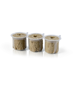 Capsules zonder zaden, Experimentele kit 17008485 - MSGZEX002N