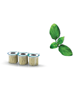 Capsules voor SmartGrow - basilicum 17008486 - MSGZH001N